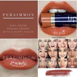 SeneGence Lipsense. Long Lasting Lipstick - color: Persimmon, new, seal intact
